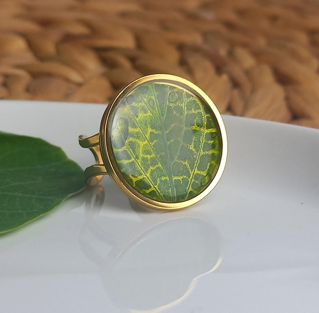 Bague dorée ◦ Fittonia