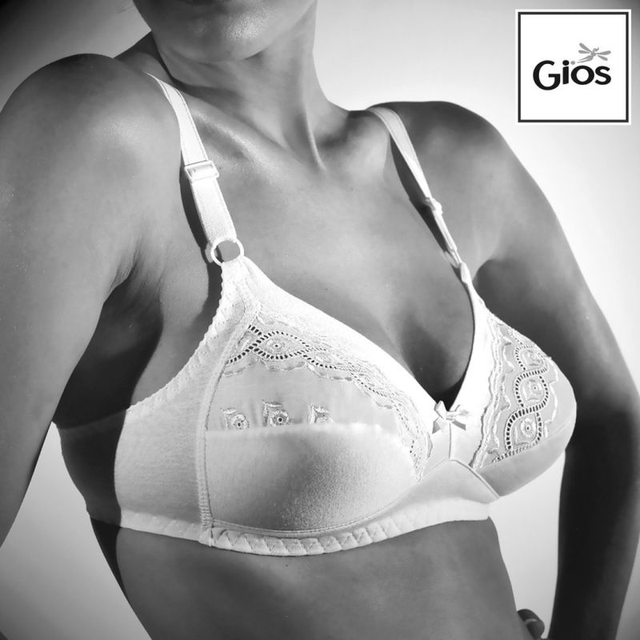 REGGISENO 973 GIOS