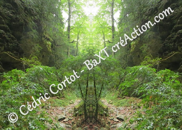 Carte postale - Entre réel et irréel (Ref IMG_3683-1)