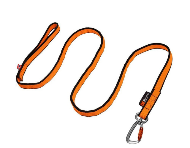 Bungee Leash 2 Meter
