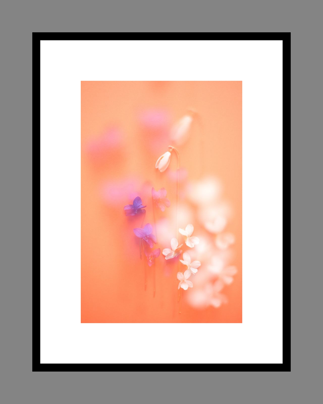 Collection du printemps * 2