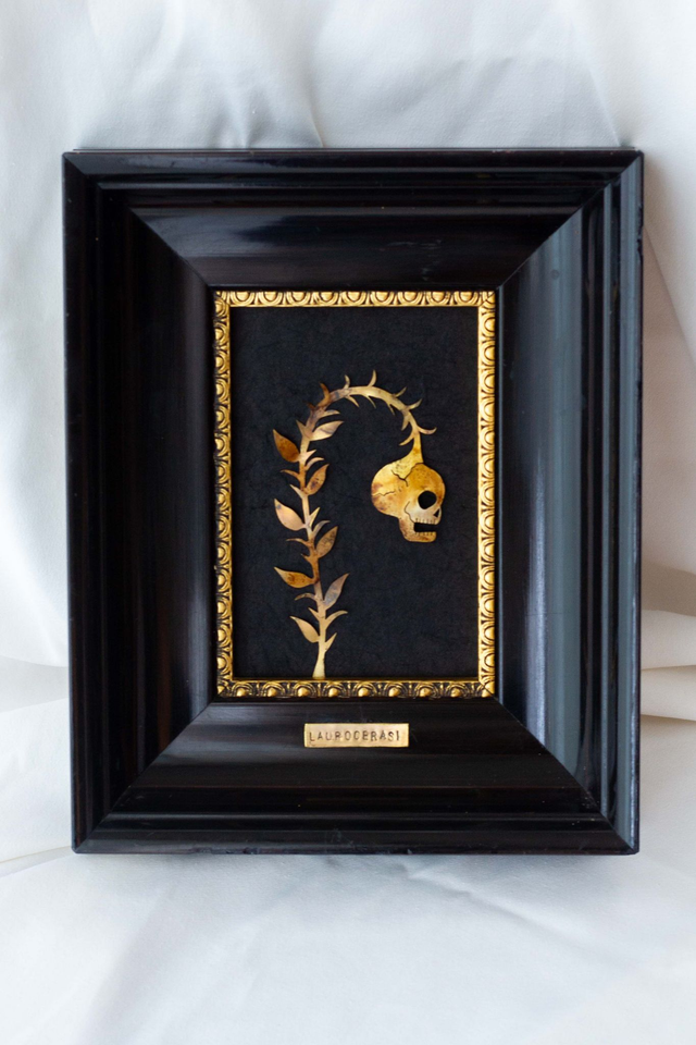 z-Laurocerasi - Disponible uniquement au Musée d'histoire Naturelle de Lille