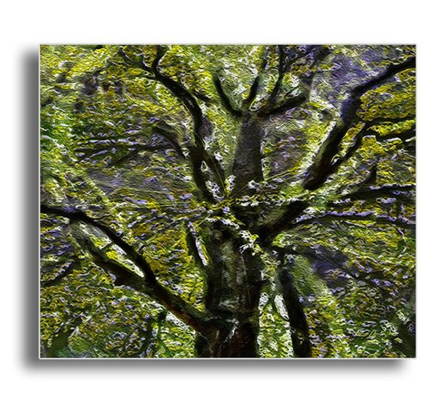  02 Nature - Here All Seasons, 2020.