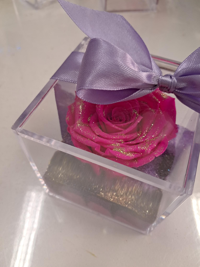 Rosa stabilizzata in box plexi