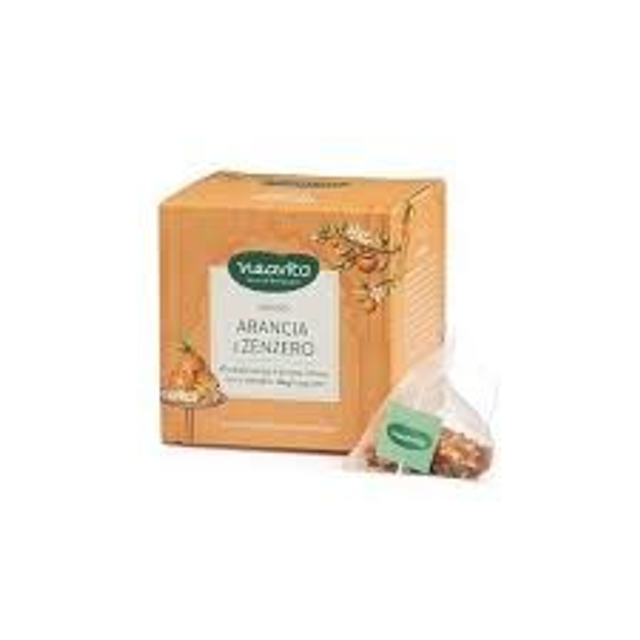 Infusi di Frutta Filtro Scrigno Arancia e Zenzero Neavita