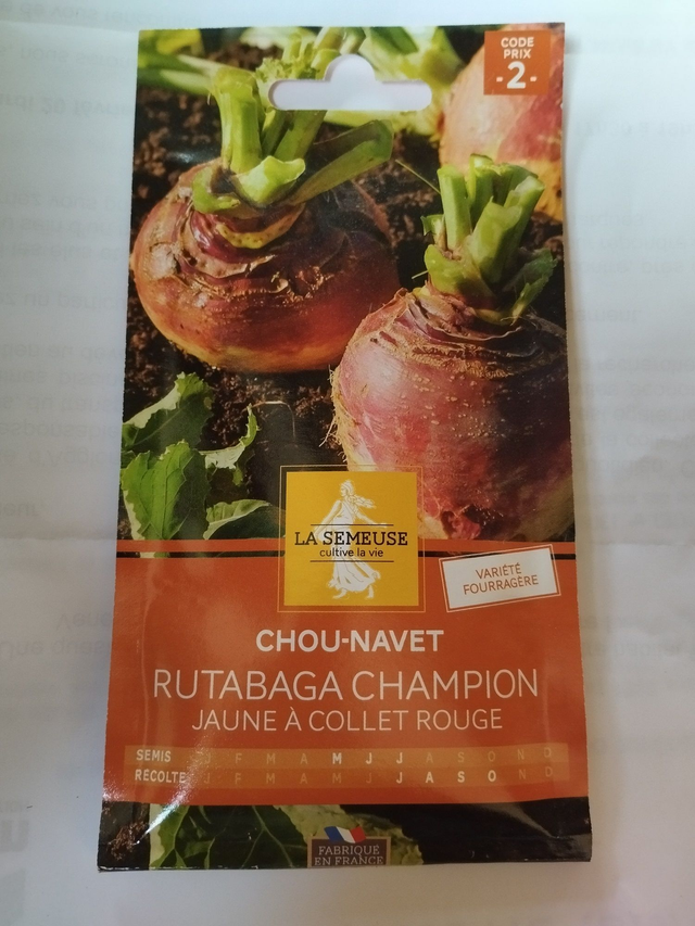 Chou-Navet Rutabaga champion jaune à collet rouge