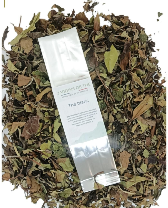 Thé blanc du jardin