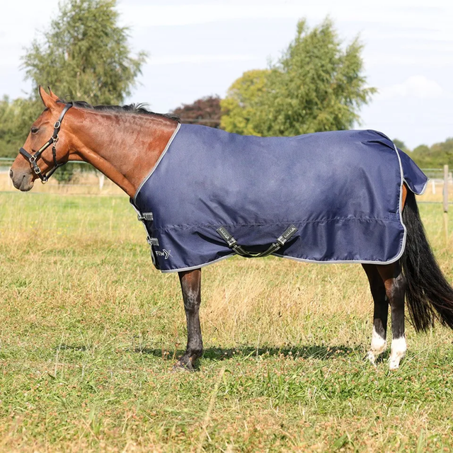 Storm X Empra 100g Turnout Rug - NAVY