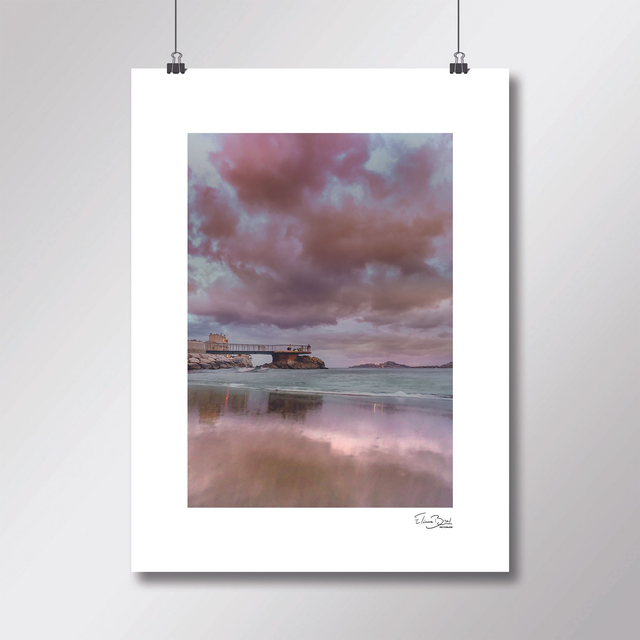 Affiche « Catalan Lilas »