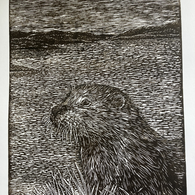 Glenbeg Otter