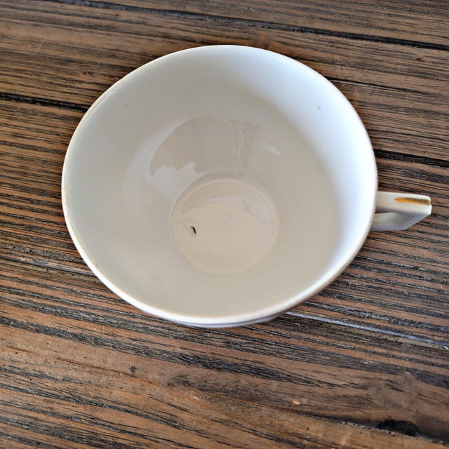 Tasses à café/thè vintage en porcelaine, motif floral (rose et fleurs)