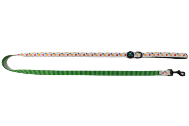 Tutti Frutti Leash (Lupi Paws)