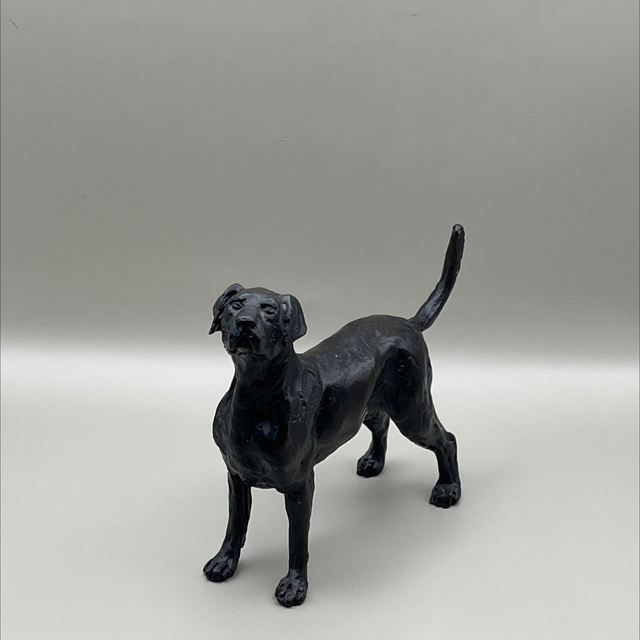 Nelson &amp; Forbes Bronze – Standing Labrador by Sue Maclaurin – Limited Edition 47 / 250 – With Certificate of Authenticity