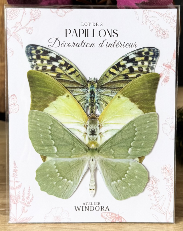 Lot de 3 Papillons Vert | Décoratifs
