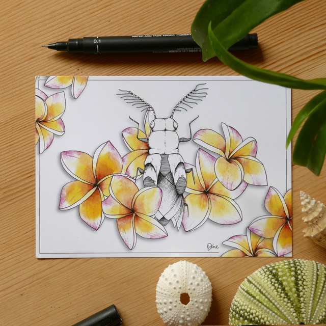 CARTE POSTALE – Frangipanier