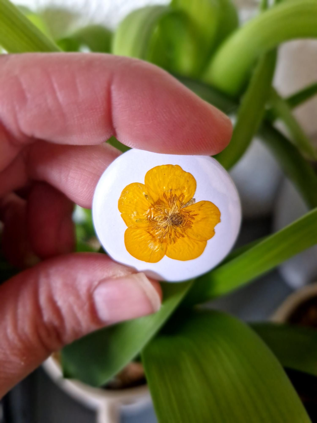 Badge Fleuri "Bouton d'or"