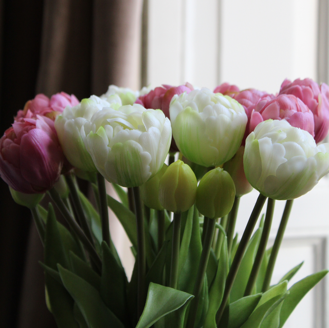 Pioen Tulpen bos snowy white (44cm) 