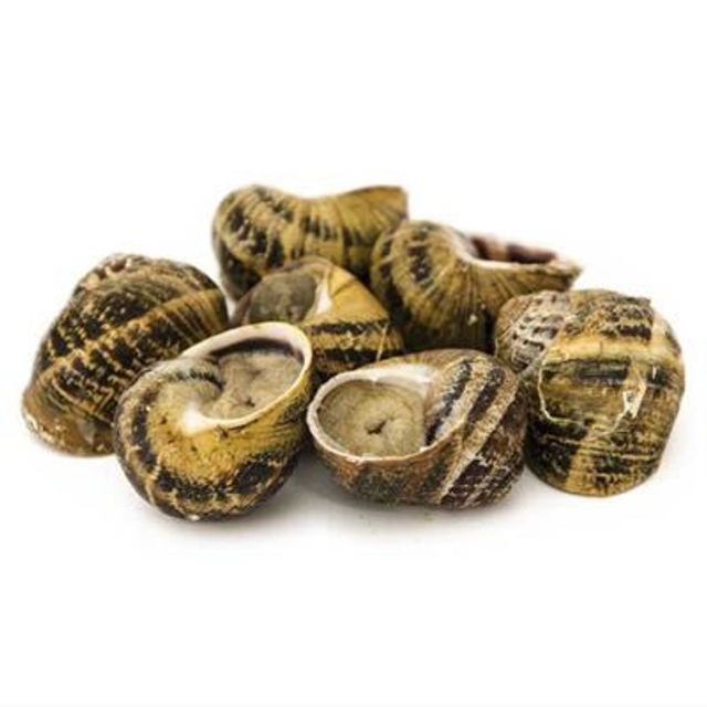 Lumache vive e spurgate (dimensioni medie, chiedere per altre pezzature e forniture >5kg)