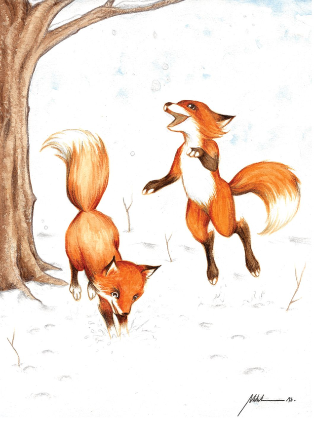 Z016- Foxes - A5