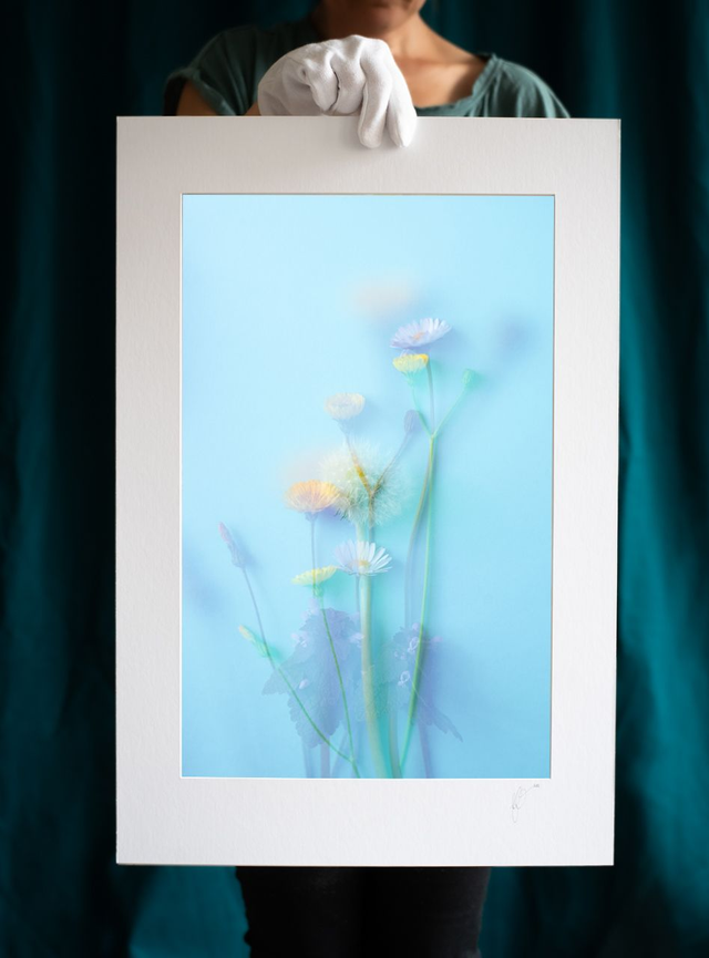 Collection du printemps * 3