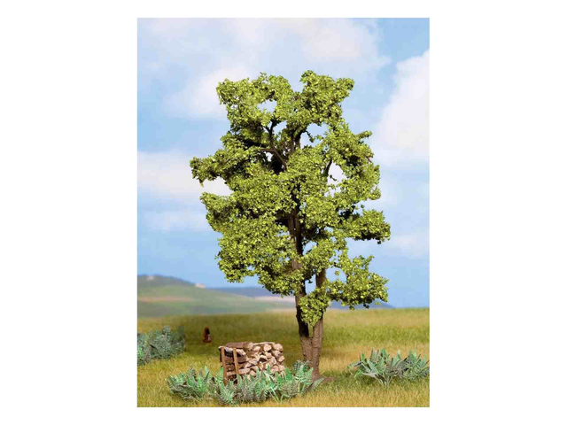 Acacia 15cm Noch 21660