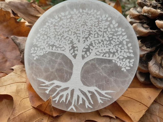 Plaque de rechargement en Sélénite en Arbre de vie