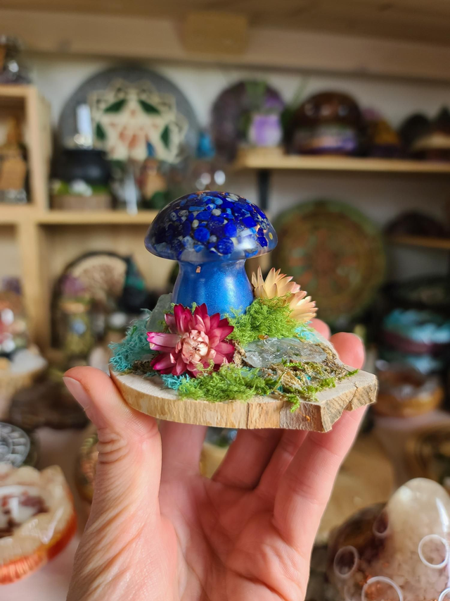 Mini champignon 🍄 N°4
