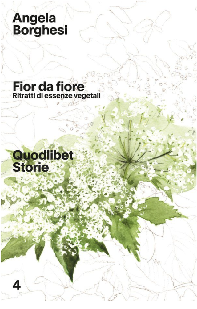 Borghesi Angela - Fior da fiore. Ritratti di essenze vegetali (Quodlibet)