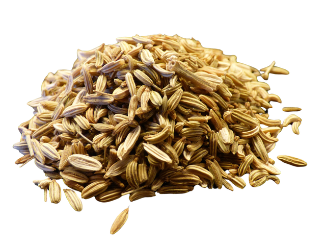 Hinojo semilla