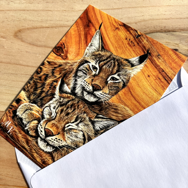 " Regard oublié " - Lynx - carte postale - 10 x 15 cm