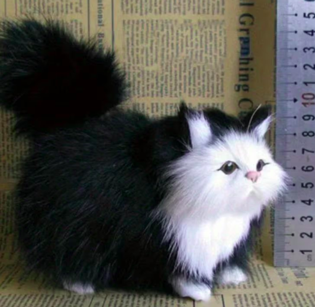 Super lieve kitten knuffels - Realistische katten 12cm zwart