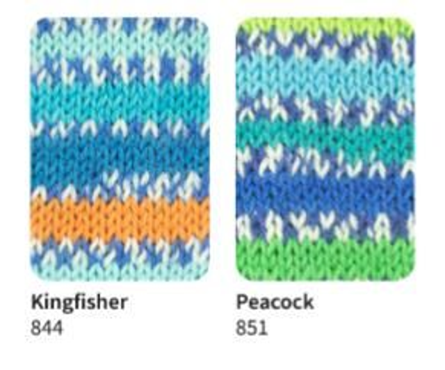 Signature 4ply Sock Yarn The Birds Collection