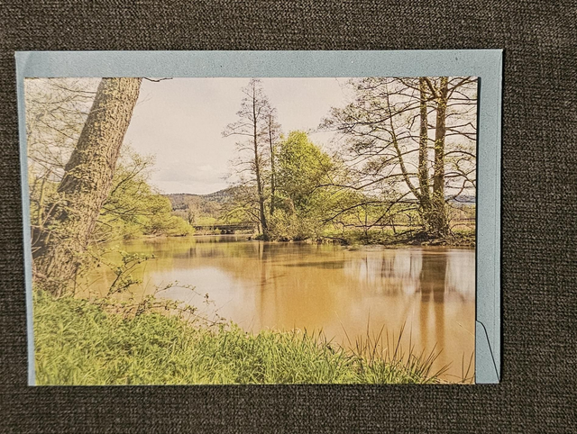 Tree Scenery Card