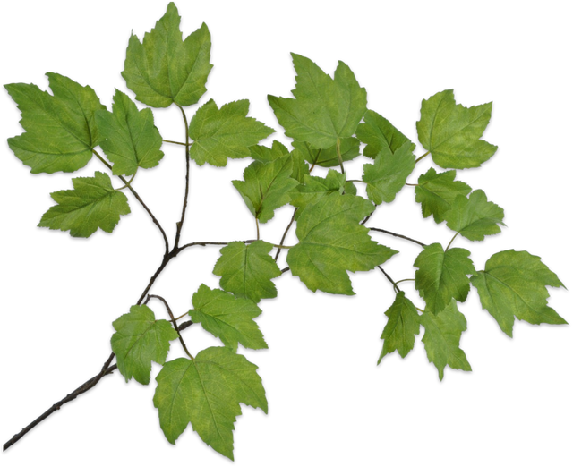 Silk-Ka Bladtak Groen 120cm