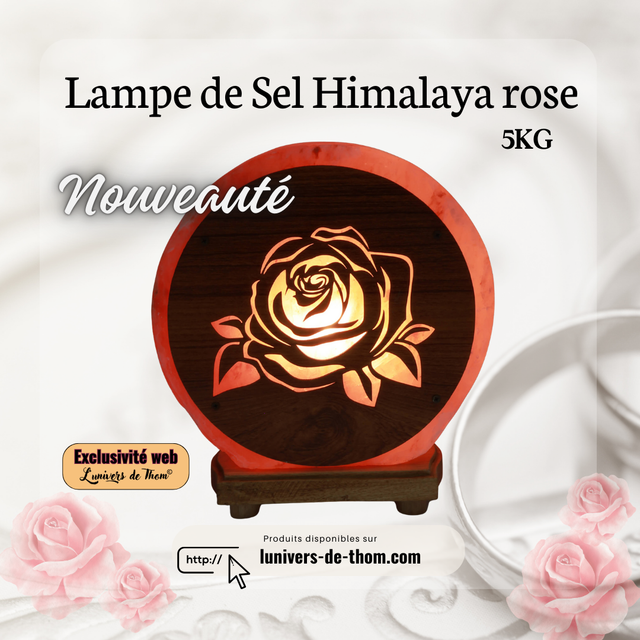 Lampe de Sel Himalaya rose