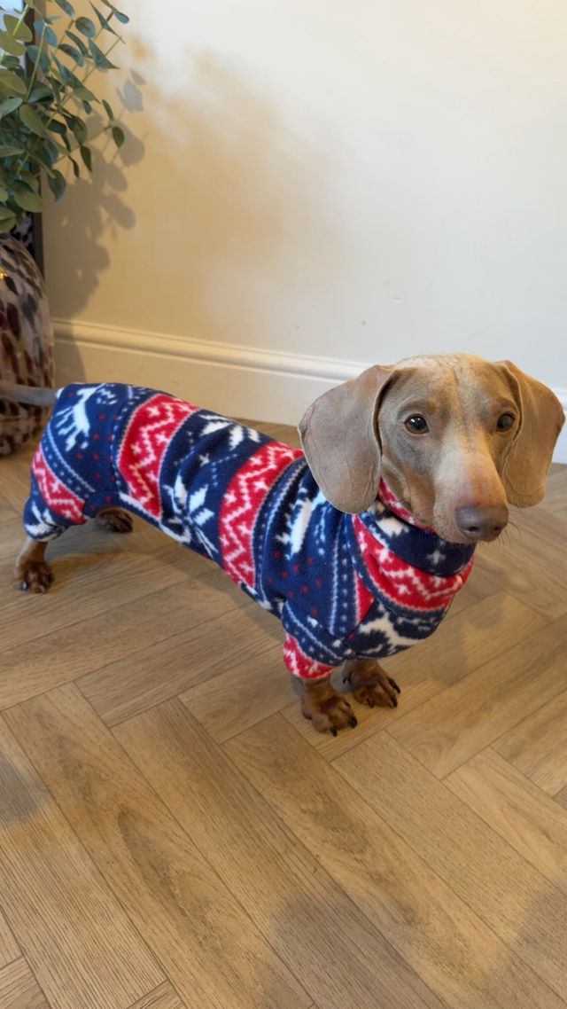 Dachshund Fit Onesie