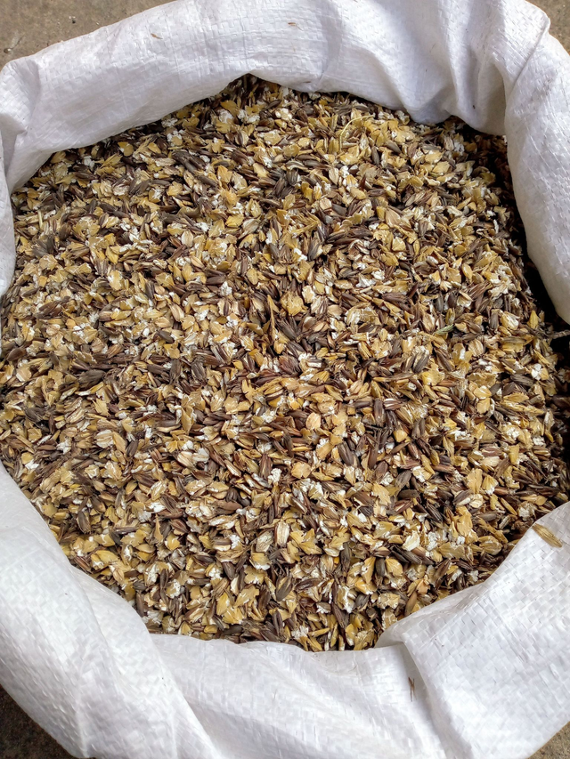 Mélange orge + avoine