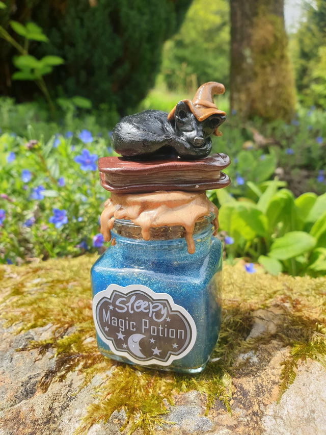 Potion magique et son chat sorcier 