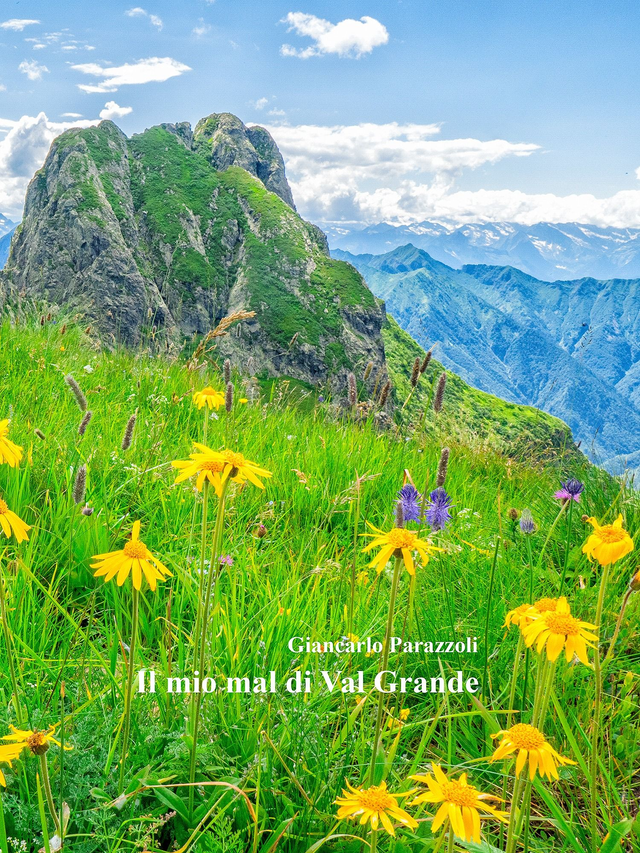Libro Il mio mal di val Grande