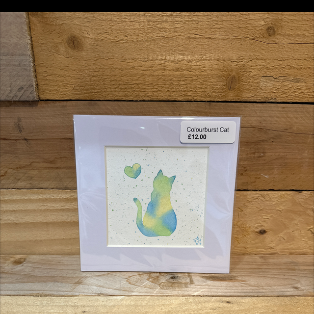Colourburst Cat 