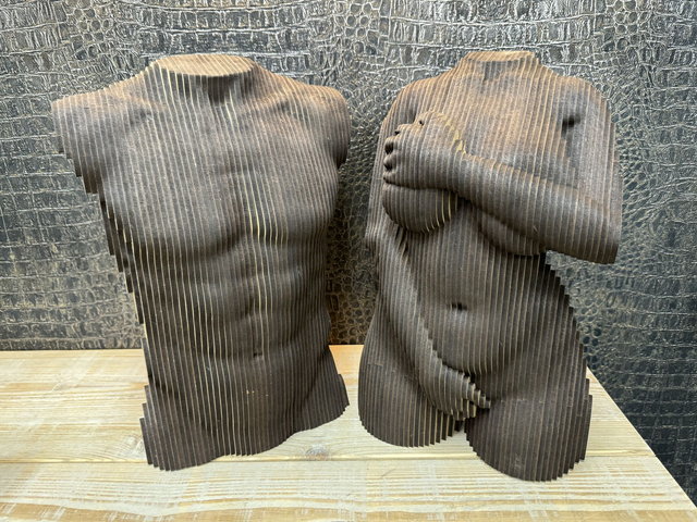 Torso set, male 33x23x14,5cm &amp; female 33x21x15cm (8,45 kg)
