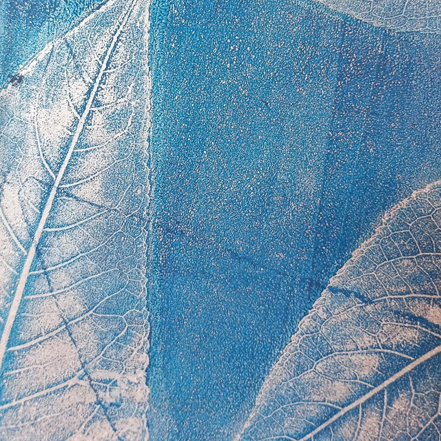 Album photo /Sketchbook