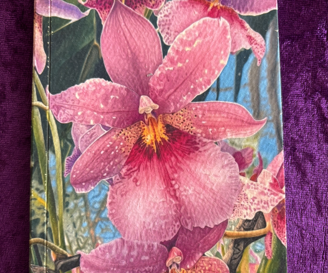 Lined Note Pad Orchid Pink