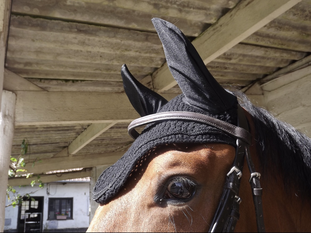 Bonnet noir Fouganza Cheval 