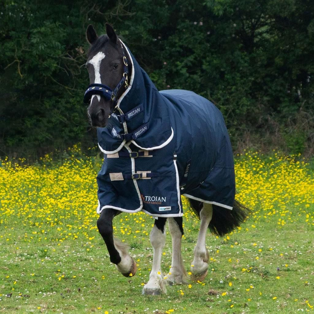 Gallop TROJAN 100g Combo Duraproof Turnout Rug