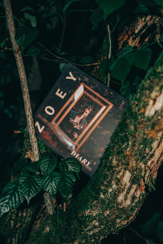 DIARY EP - BOOKLET (Konzertverkauf)