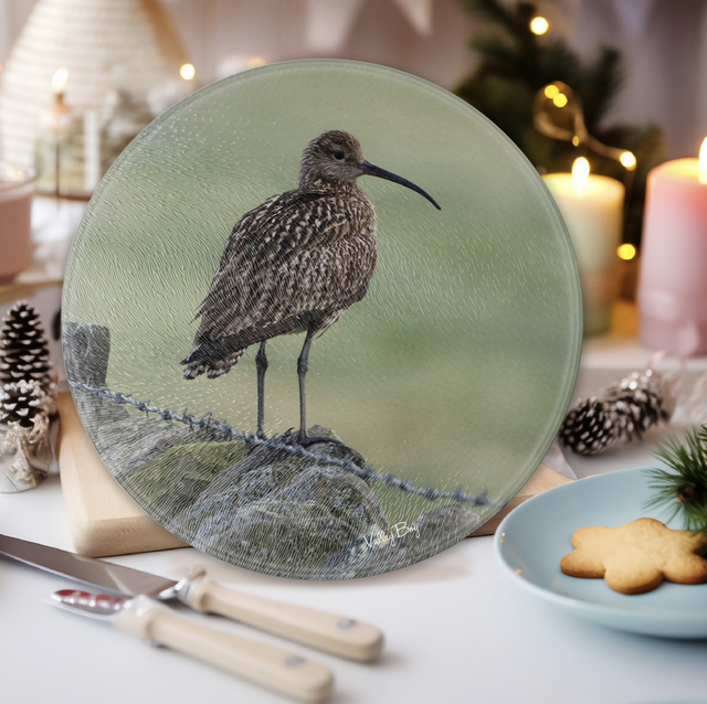“Curlew” Round Worktop Saver   