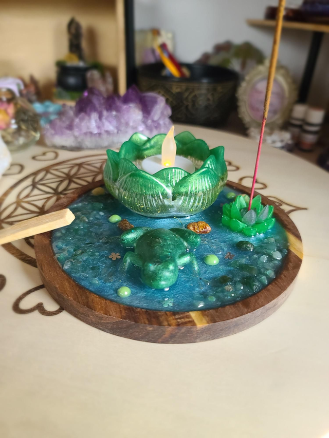 Plateau de fumigation 🐸 Métamorphose de la grenouille rond