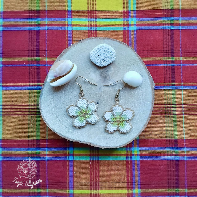 Fleurs de Frangipanier