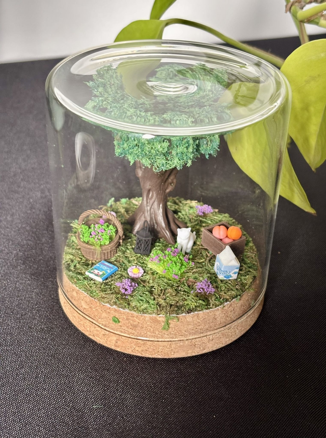 đ Terrarium verre 10cm - Ădition Ă©tĂ©